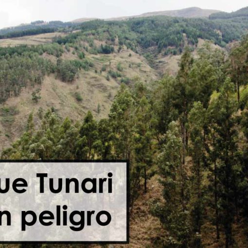 El Parque Tunari Está en peligro