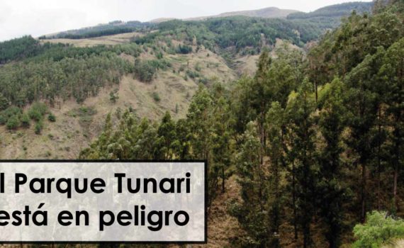 El Parque Tunari Está en peligro