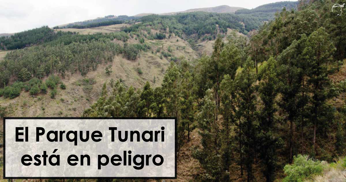 El Parque Tunari Está en peligro