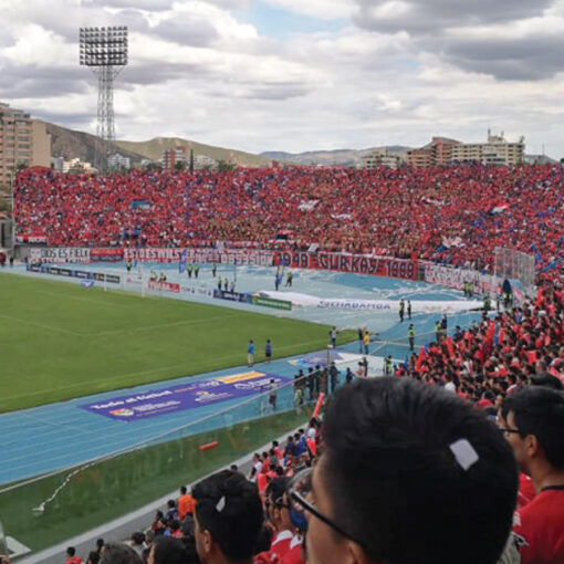 Estadio Felix Capriles